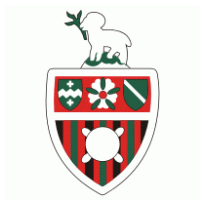 Godalming Town FC