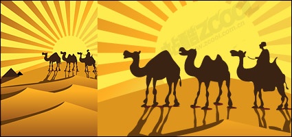 Gold desert on camel silhouettes vector material