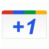 Google +1