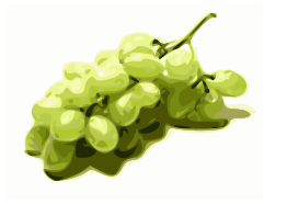 Grapes Leif Lodahl 02