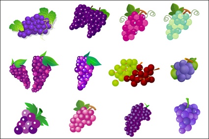 Grapes vector