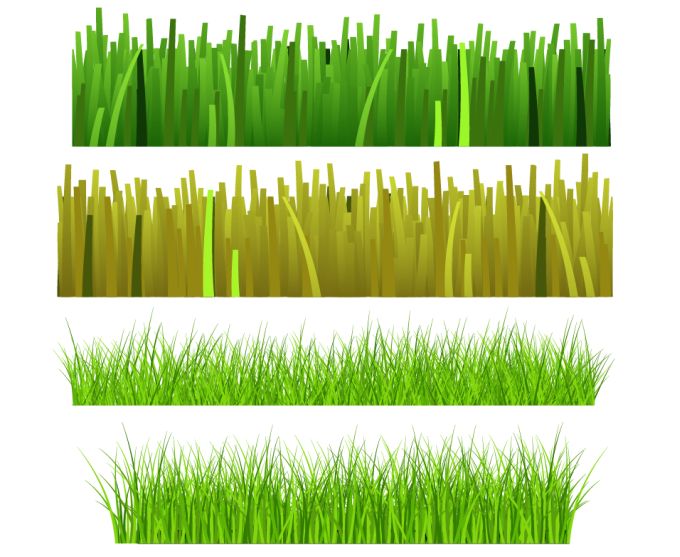 Grass Vector