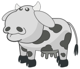 Gray Cow