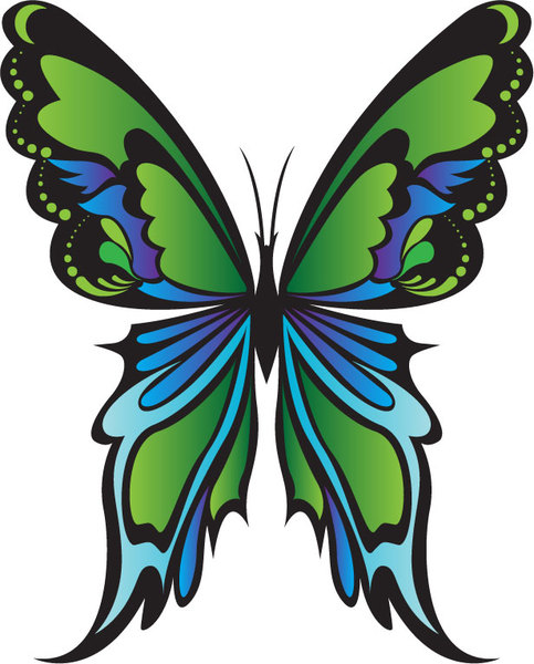 Green Butterfly Vector