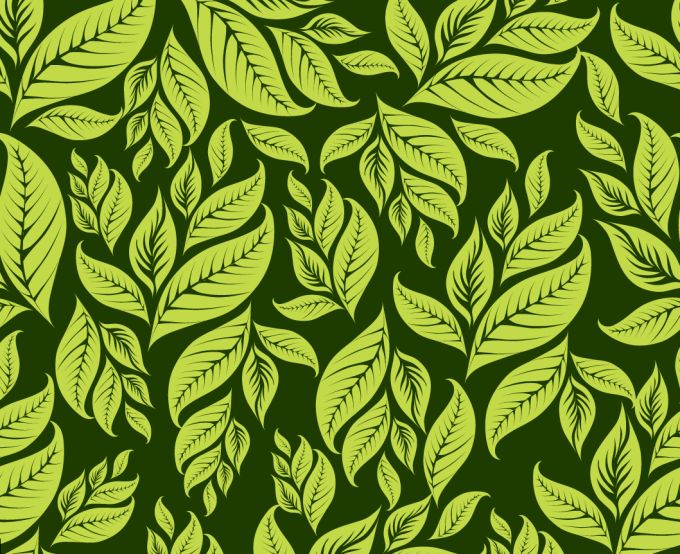 Green Floral Pattern