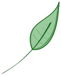 Green leaf