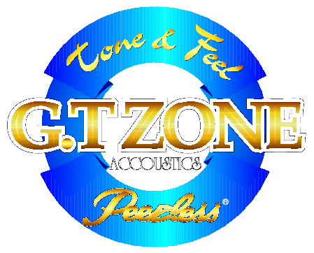 Gtzone Accoustics