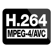 H.264/mpeg 4 Avc