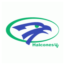 Halcones de Xalapa