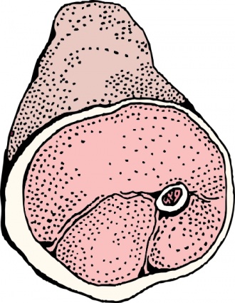 Ham clip art