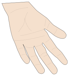 Hand