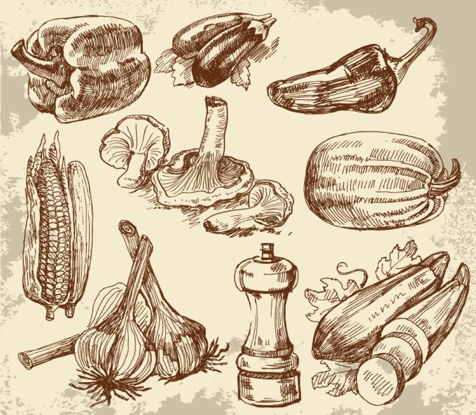 Hand Drawn Vegetables