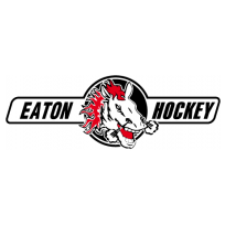 HC Eaton Pardubice