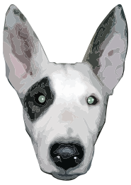 HighRes, Bullterrier head