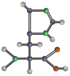 Histidine (amino acid)