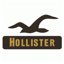 Hollister Co.