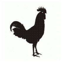 Horoz Rooster