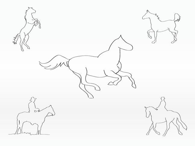 Horse Sketches