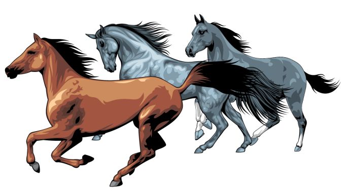 Horse Vector