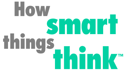 How Smart Things Think