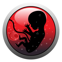 Human embryo (silhouette)