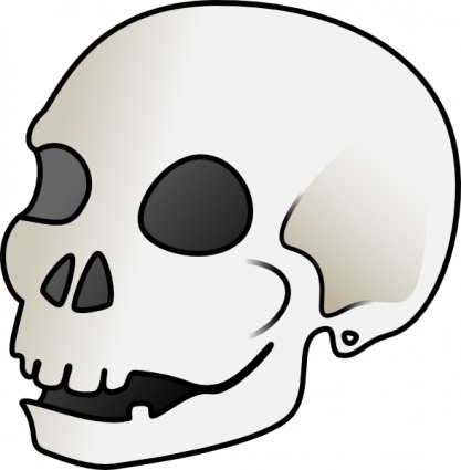 Human Skull clip art