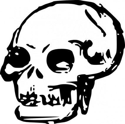 Human Skull clip art