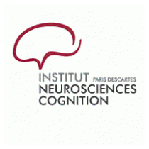 Institut des Neurosciences et de la Cognition