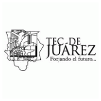 Instituto Tecnologico de Ciudad Juárez ITCJ