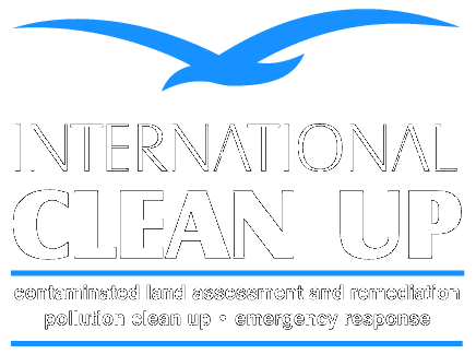 International Clean Up