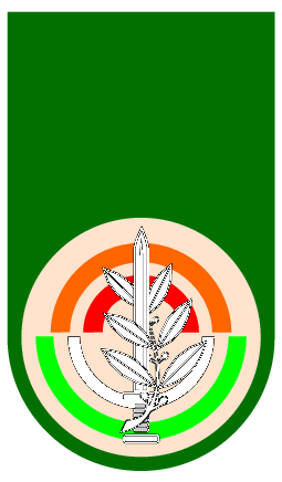 Israel Army Unit