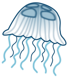 Jellyfish