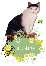Juma MarruÃ¡ with flowers