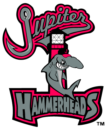 Jupiter Hammerheads