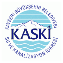 Kaski