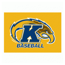 Kent State University Baseball