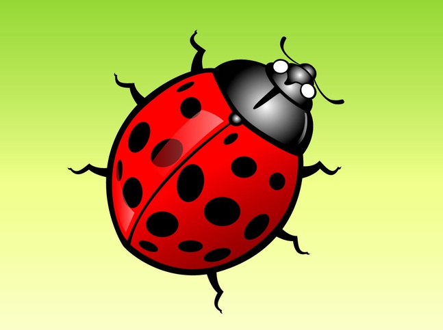 Lady Bug Cartoon