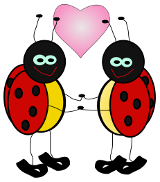 Lady Bugs