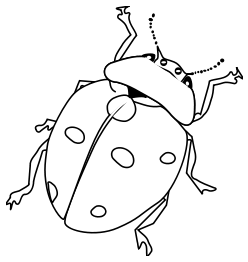 Ladybug Line Art