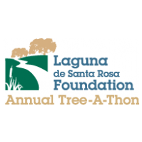 Laguna Annual Tree-A-Thon