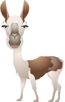 Lama 1