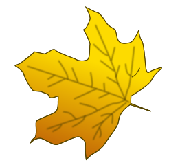 Leaf 3