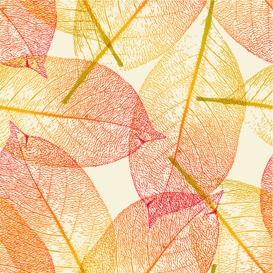 Leaf Autumn Vector