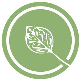 Leaf Logo