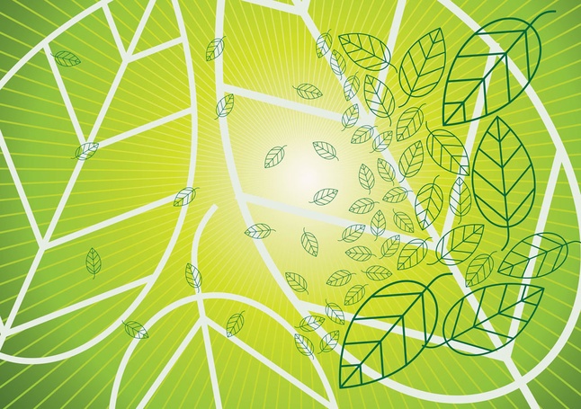 Leaf Vector Graphics