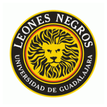 Leones Negros