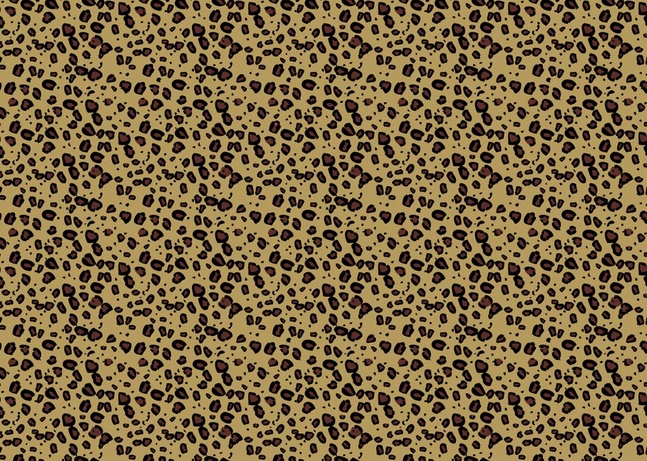 Leopard Print Pattern