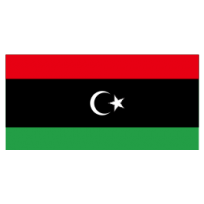 Libya Flag 2011