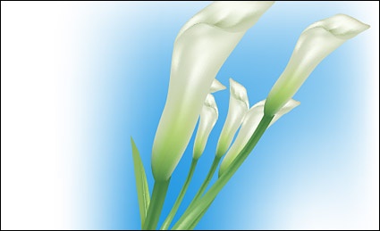 Lilies Vector