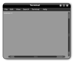 Linux Terminal Window